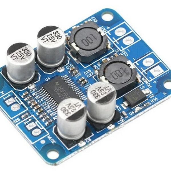 TPA3118 60W Mono Digital Audio Amplifier Board